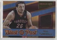 Hedo Turkoglu