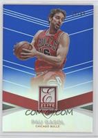 Pau Gasol #/99