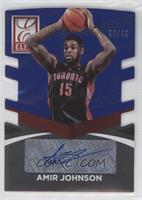 Amir Johnson #/49