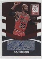 Taj Gibson #/25