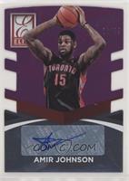 Amir Johnson #/74