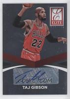 Taj Gibson #/125