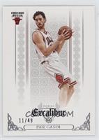 Pau Gasol #/49