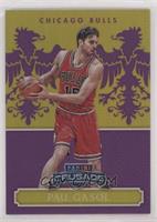 Pau Gasol #/75