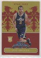 Joe Ingles #/99