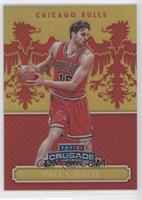 Pau Gasol #/99