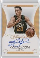 Gordon Hayward #/10