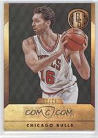 Pau Gasol (Bulls Jersey) #/25