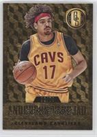 Anderson Varejao #/79