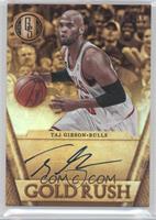 Taj Gibson #/199