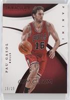 Pau Gasol #/25