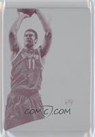 Brook Lopez #/1