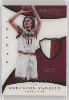 Anderson Varejao [Noted] #/17