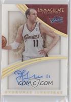 Zydrunas Ilgauskas #/10