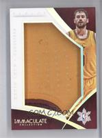 Kevin Love #/18