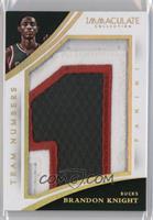 Brandon Knight #/13