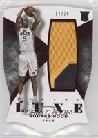 Rodney Hood #/25