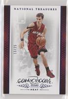 Goran Dragic #/25