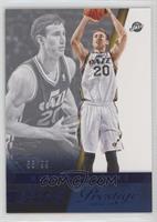 Gordon Hayward #/99