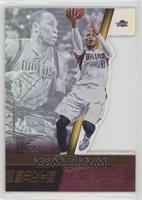 Shawn Marion #/25