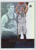 Gordon Hayward #/199