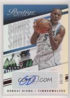 Gorgui Dieng #/99