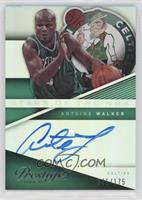 Antoine Walker #/175