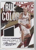 Zydrunas Ilgauskas #/49