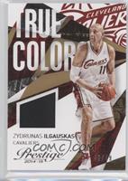 Zydrunas Ilgauskas #/49