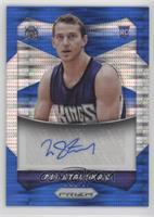 Nik Stauskas #/249