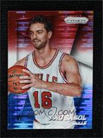 Pau Gasol