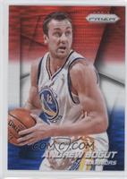 Andrew Bogut