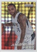 Jameer Nelson