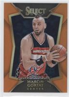 Concourse - Marcin Gortat #/60