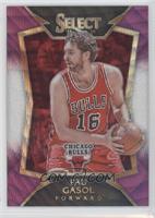 Concourse - Pau Gasol