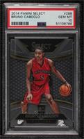 Courtside - Bruno Caboclo [PSA 10 GEM MT]