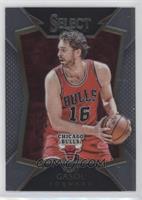 Concourse - Pau Gasol