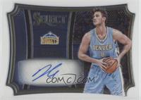 Danilo Gallinari #/25