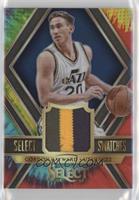 Gordon Hayward #/25