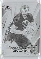 Nikola Pekovic #/1