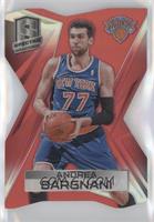 Andrea Bargnani #/25