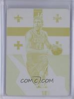 Zaza Pachulia #/1