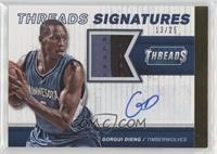 Gorgui Dieng #/25