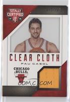 Pau Gasol #/299