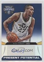 Rudy Gobert #/25