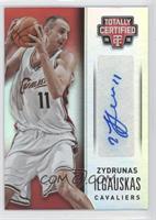 Zydrunas Ilgauskas #/25