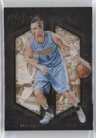 Danilo Gallinari