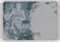 Nik Stauskas #/1