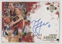 Zydrunas Ilgauskas #/99