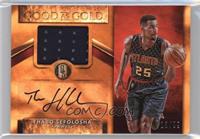 Thabo Sefolosha #/99